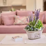 Bellissima By 4* Kukci